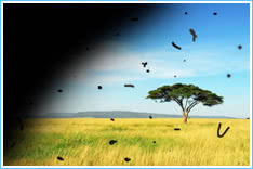 4. Vision-retinal-detachment 4. Vision-retinal-detachment