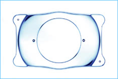 ICL1